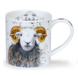 Mug orkney shaggy sheep Dunoon 350ml